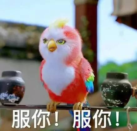 大败笔:假大空抠图李沁穿衣被j9国际站登录《楚乔传》四(图8) 大败笔:假大空抠图李沁穿衣被j9国际站登录《楚乔传》四(图8)